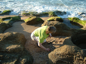 Kathleen on the verge of finding a piece of fan coral